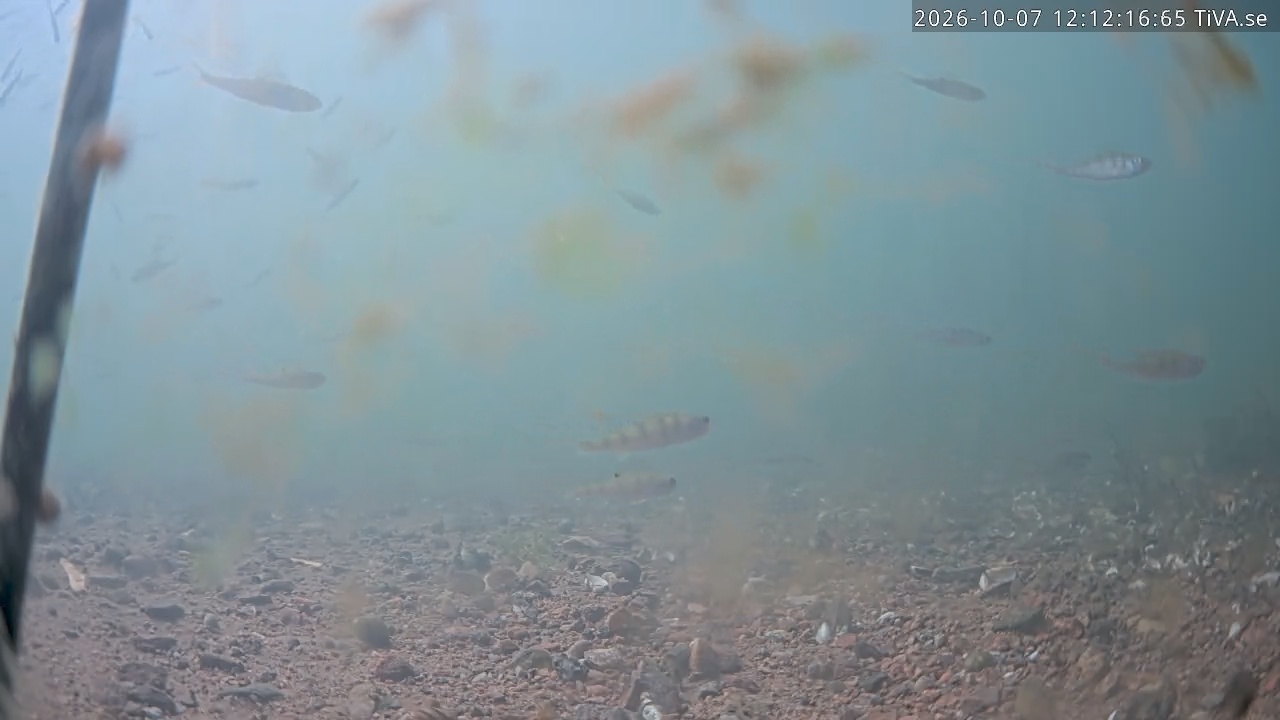 Video 2026-10-07 12:12
