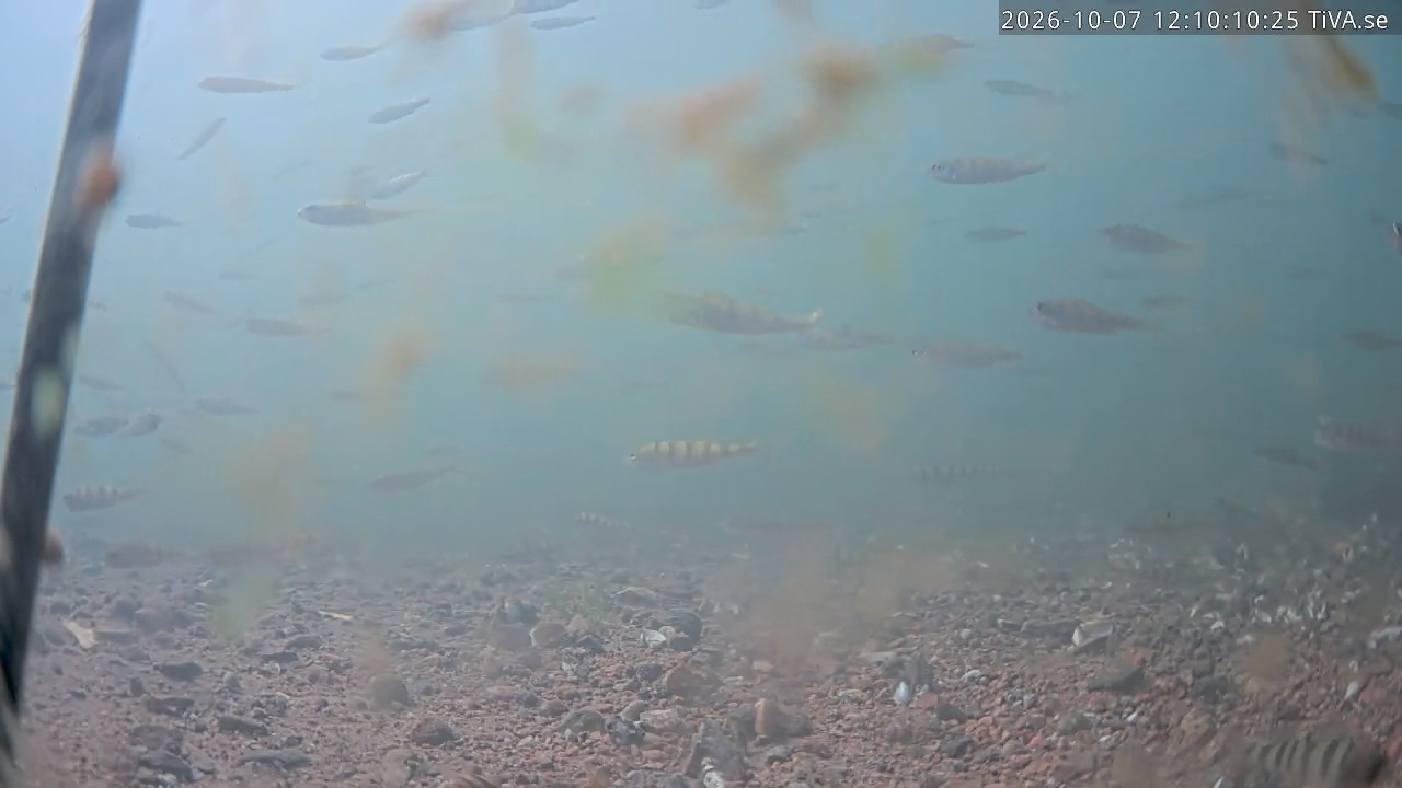 Video 2026-10-07 12:10