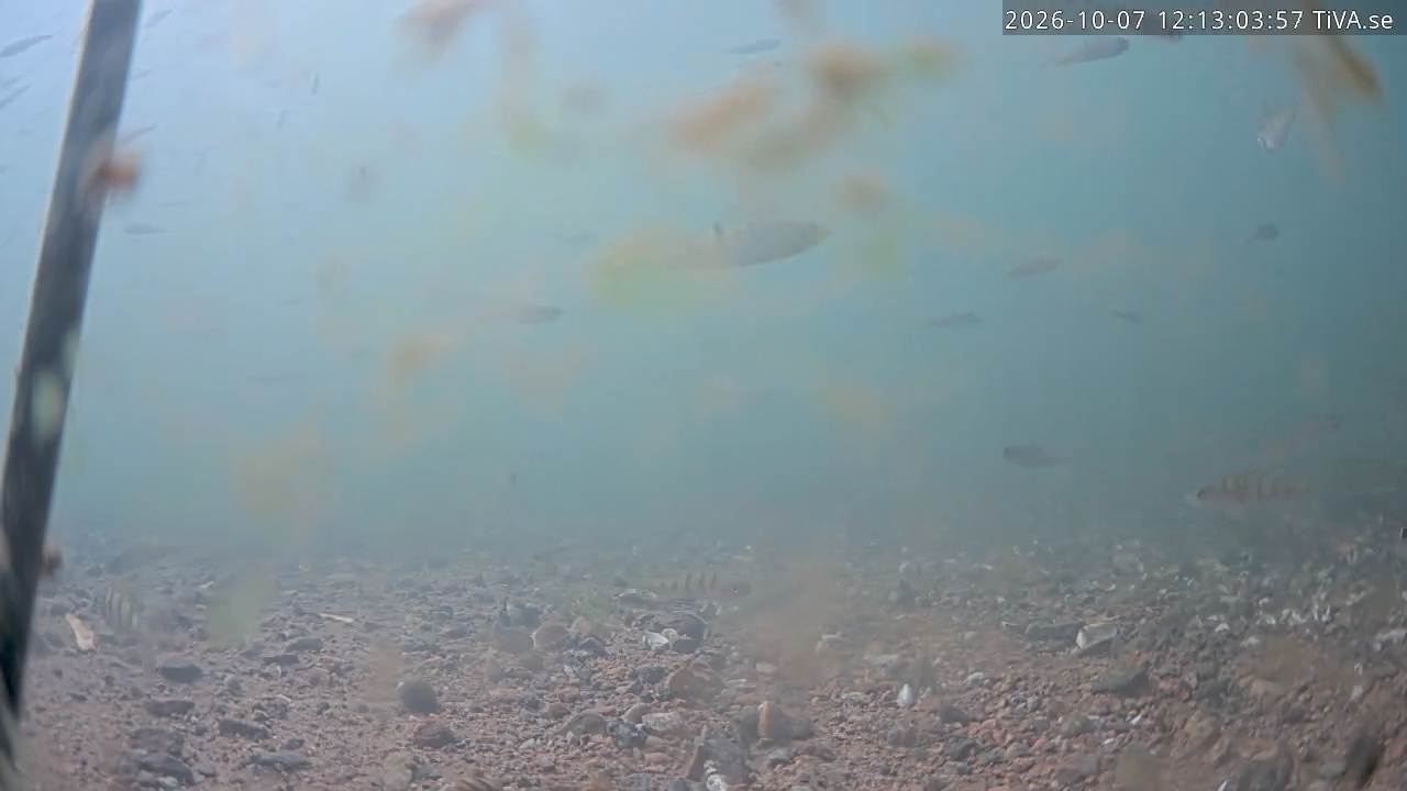 Video 2026-10-07 12:13