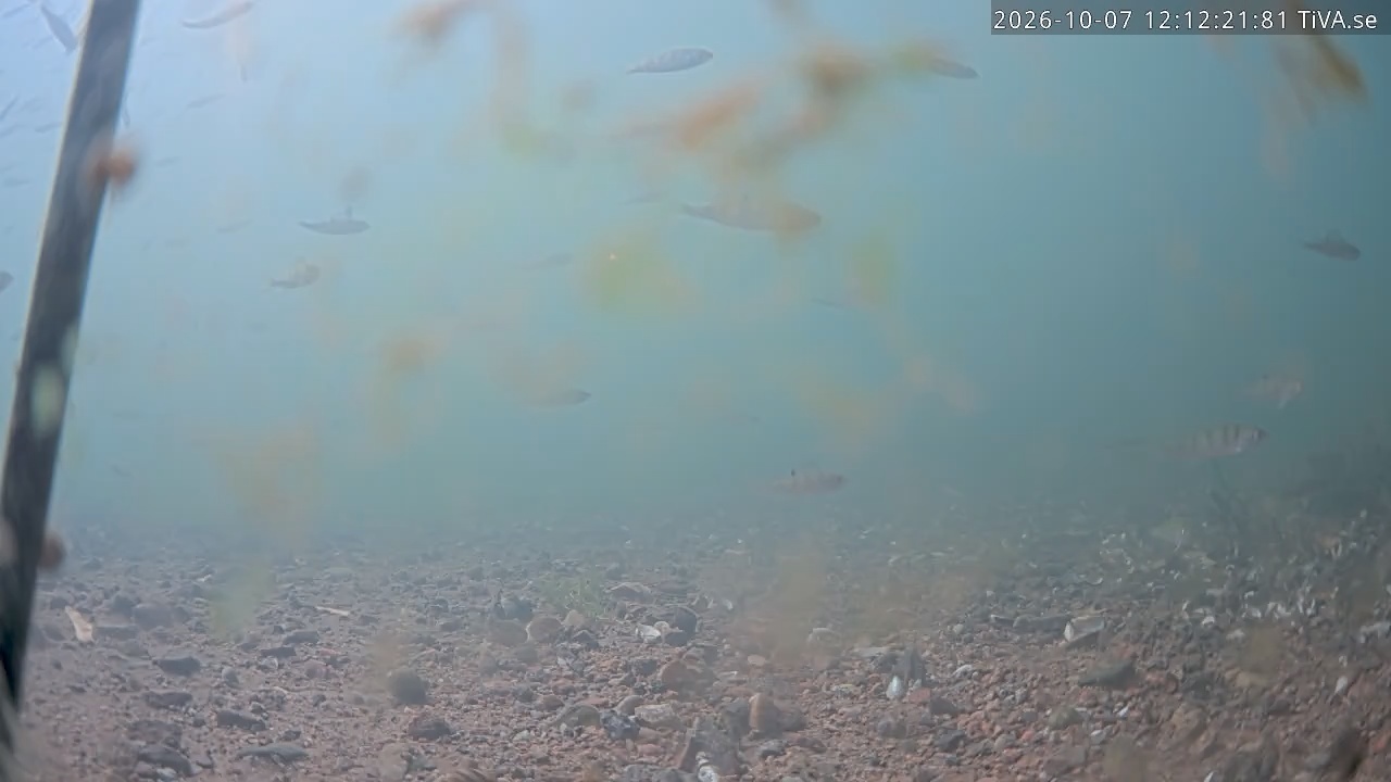 Video 2026-10-07 12:12