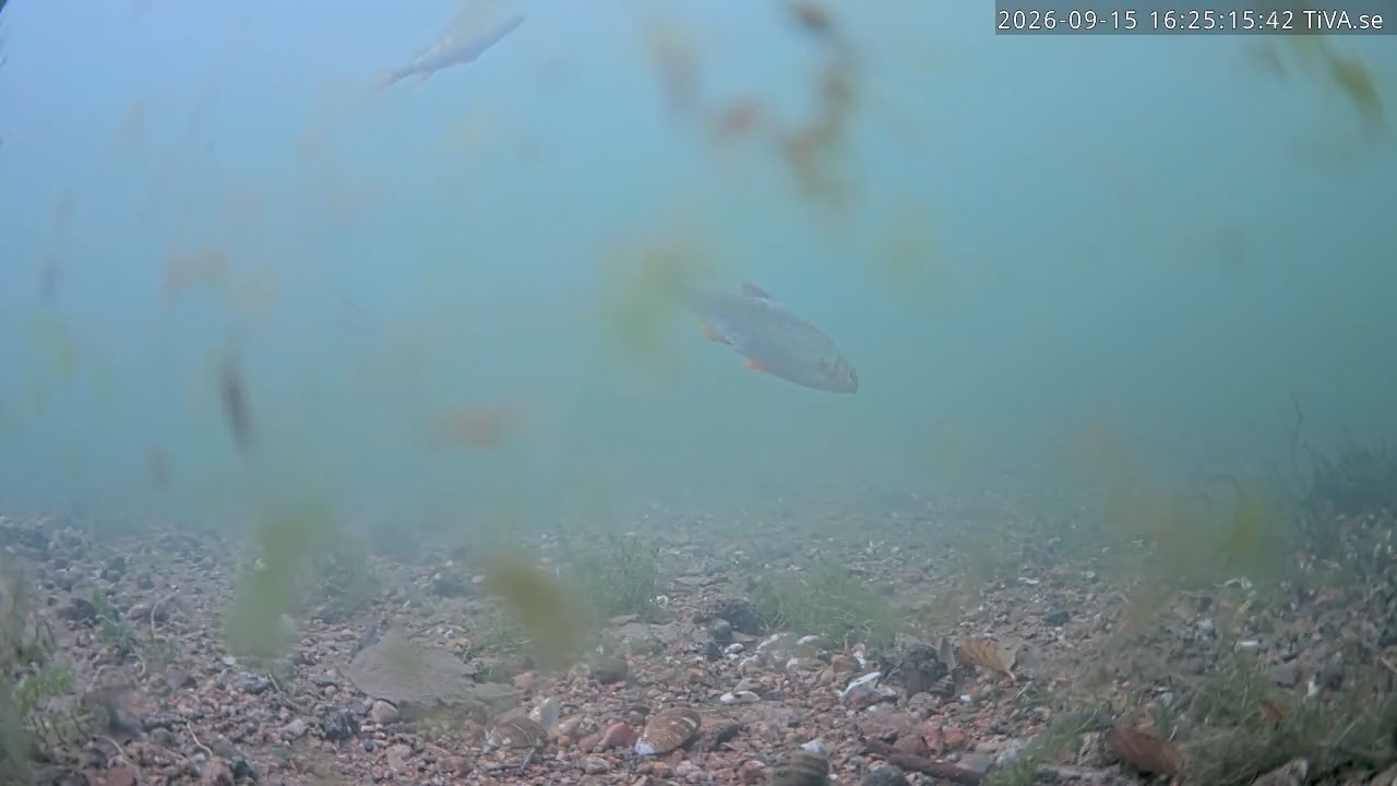 Video 2026-09-15 16:25