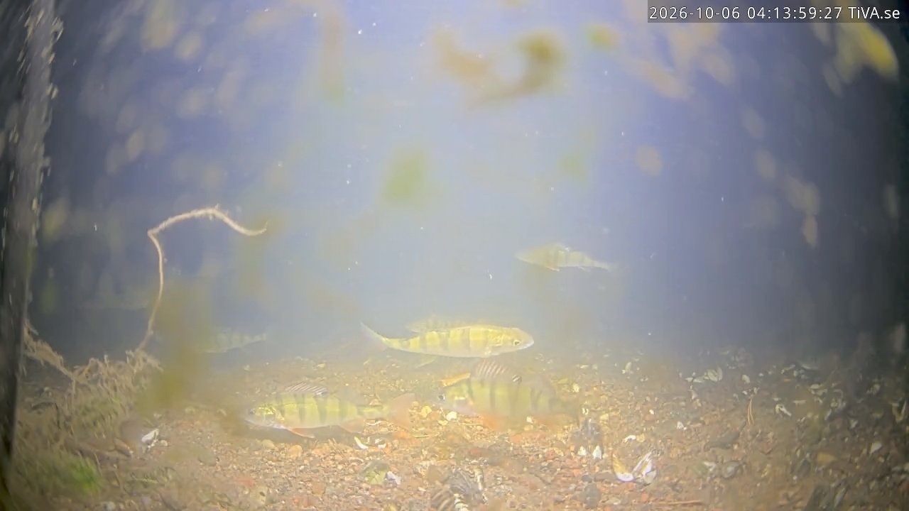Video 2026-10-06 04:14