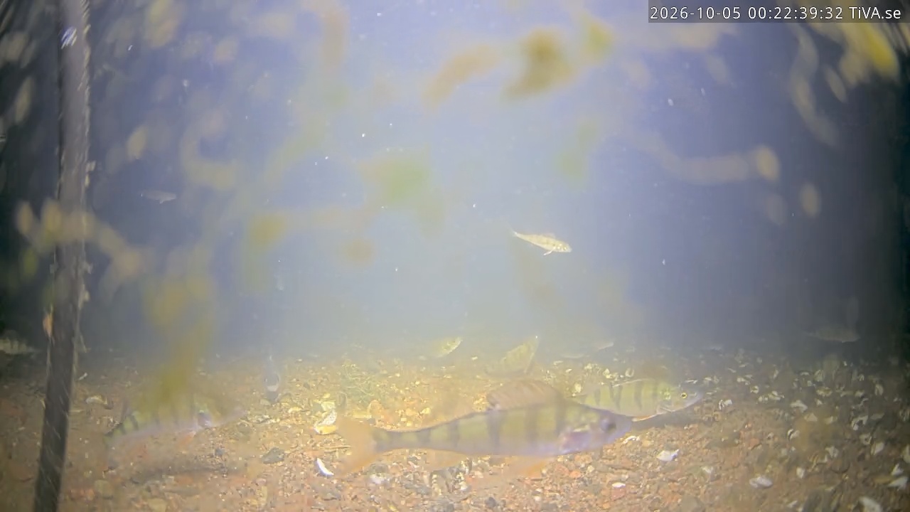 Video 2026-10-05 00:22