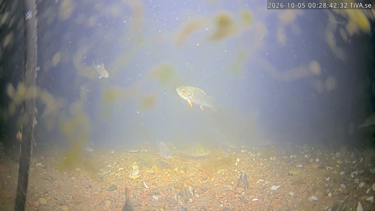 Video 2026-10-05 00:28