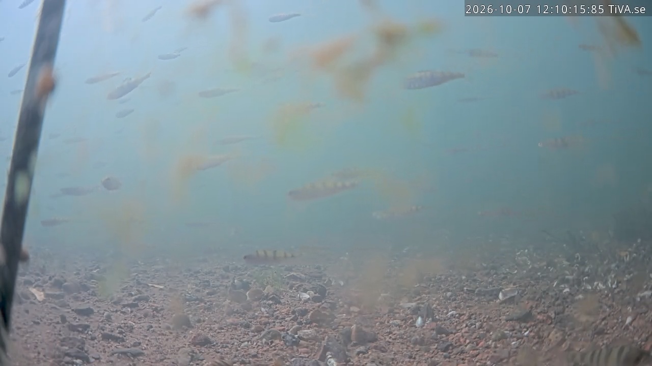 Video 2026-10-07 12:10