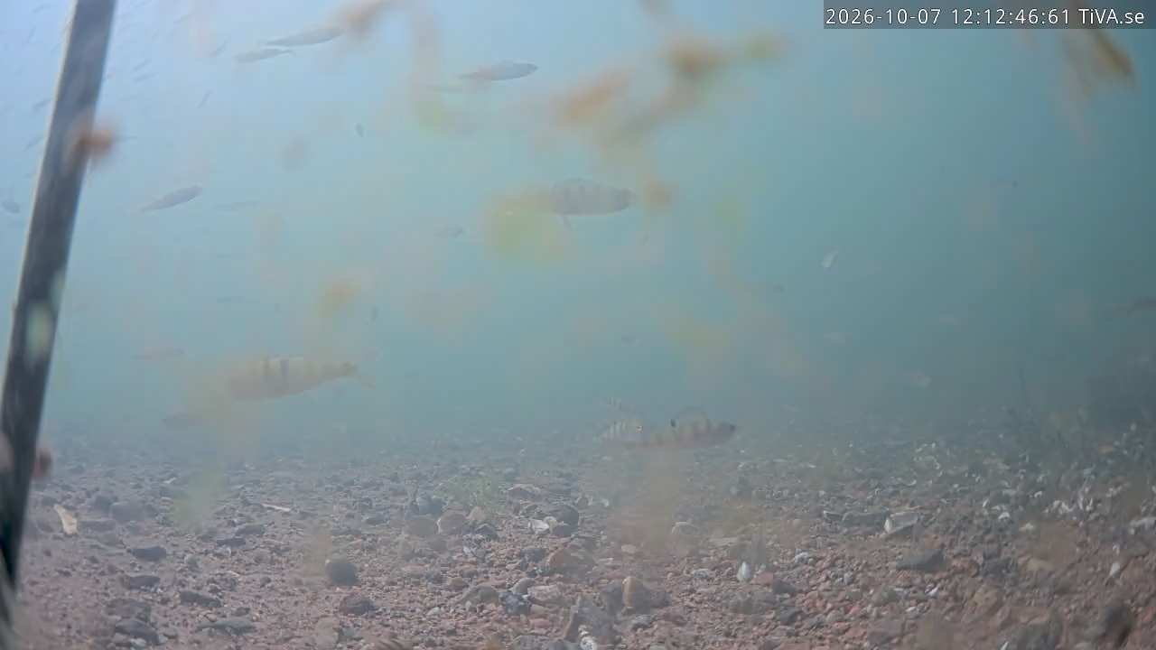 Video 2026-10-07 12:12