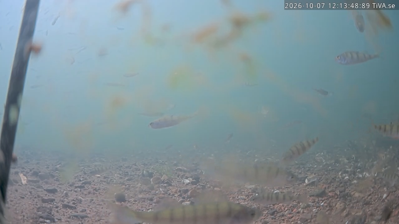 Video 2026-10-07 12:13