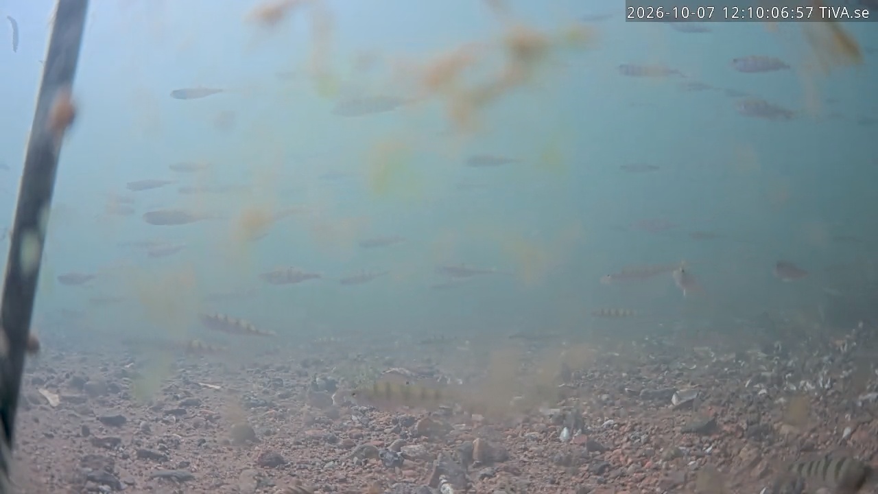 Video 2026-10-07 12:10