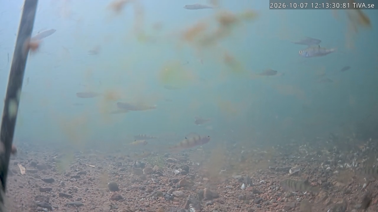 Video 2026-10-07 12:13