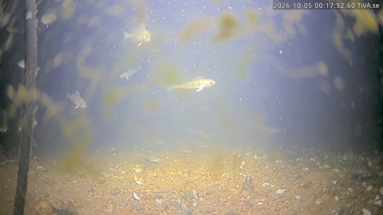 Video 2026-10-05 00:18