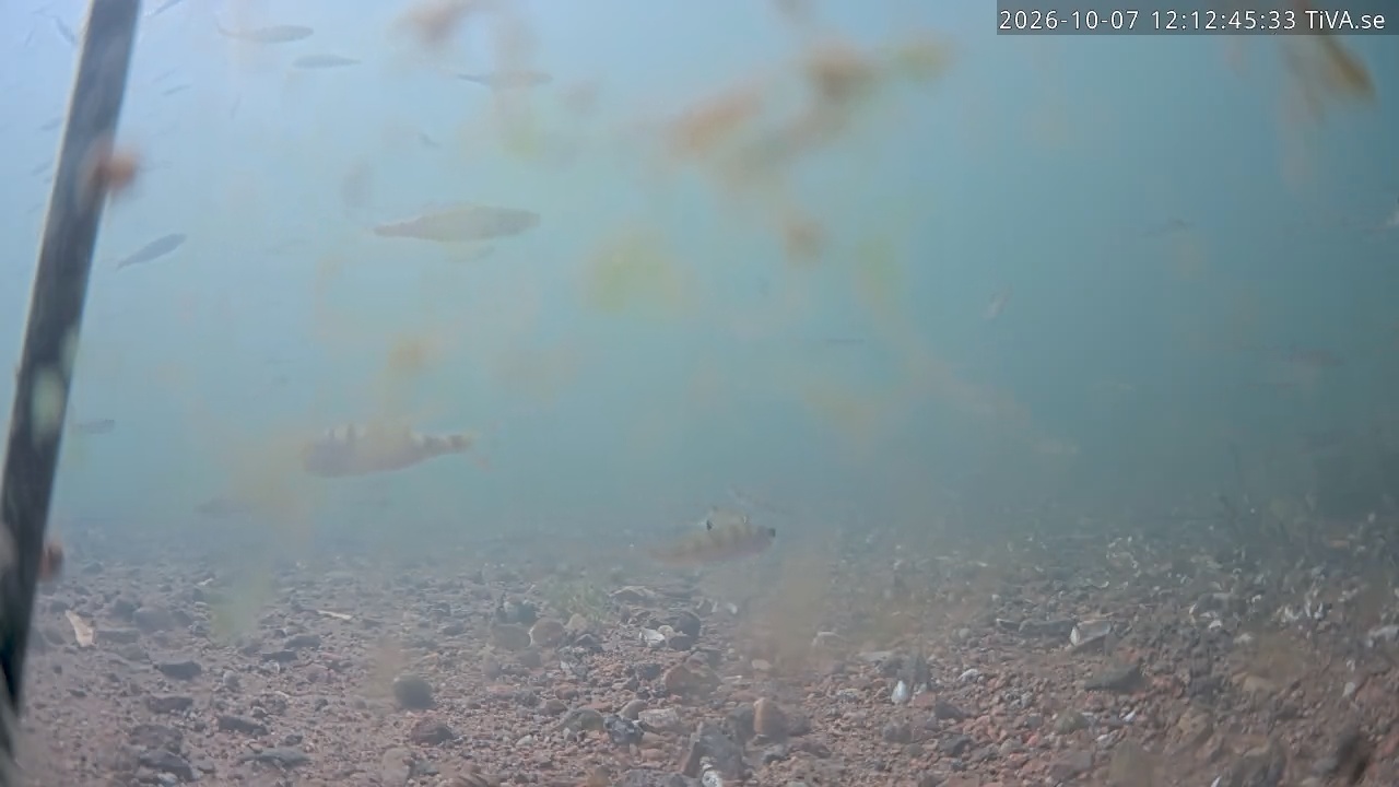 Video 2026-10-07 12:12