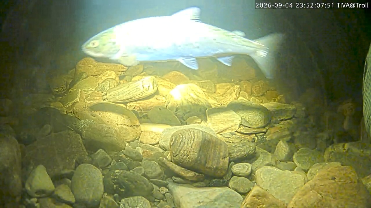 Video 2026-09-04 23:52
