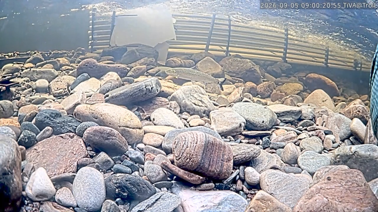 Video 2026-09-05 09:00