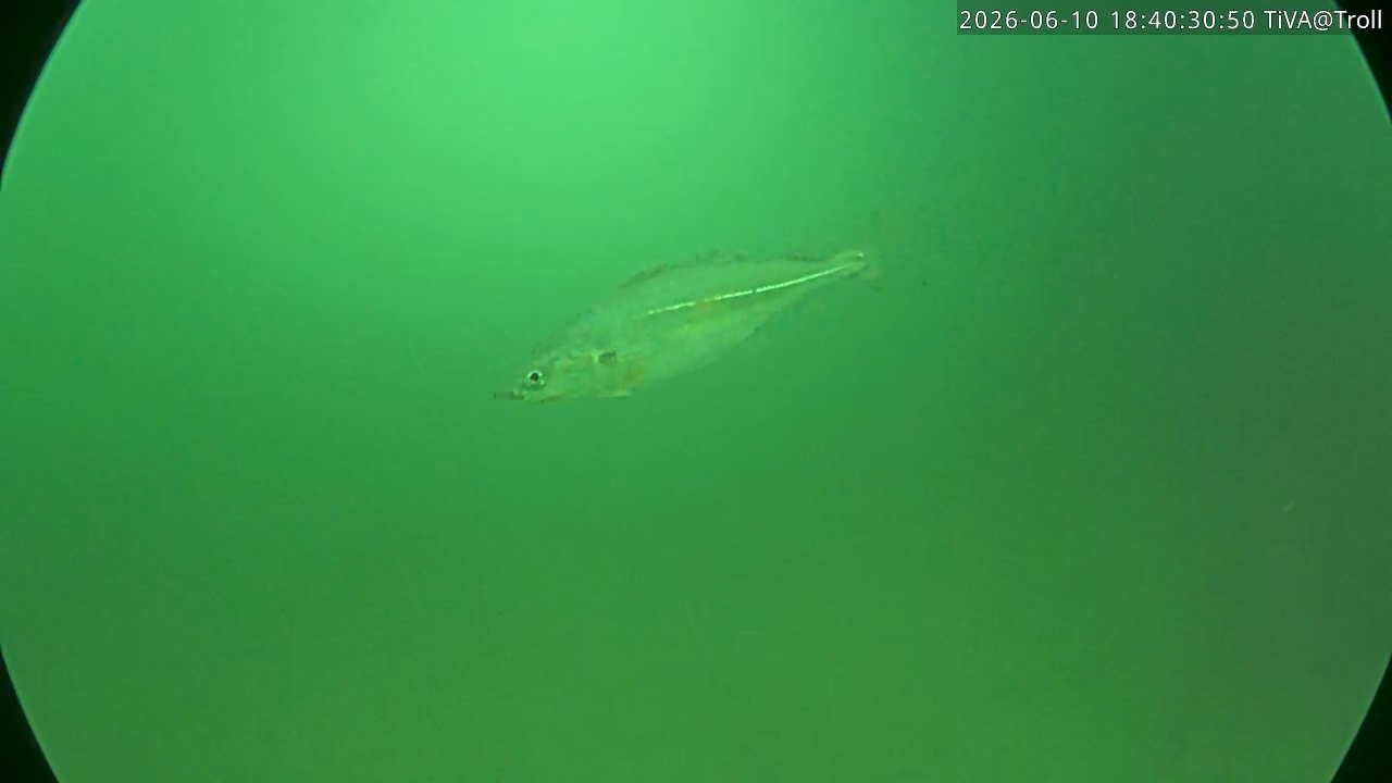 Video 2026-06-10 18:40
