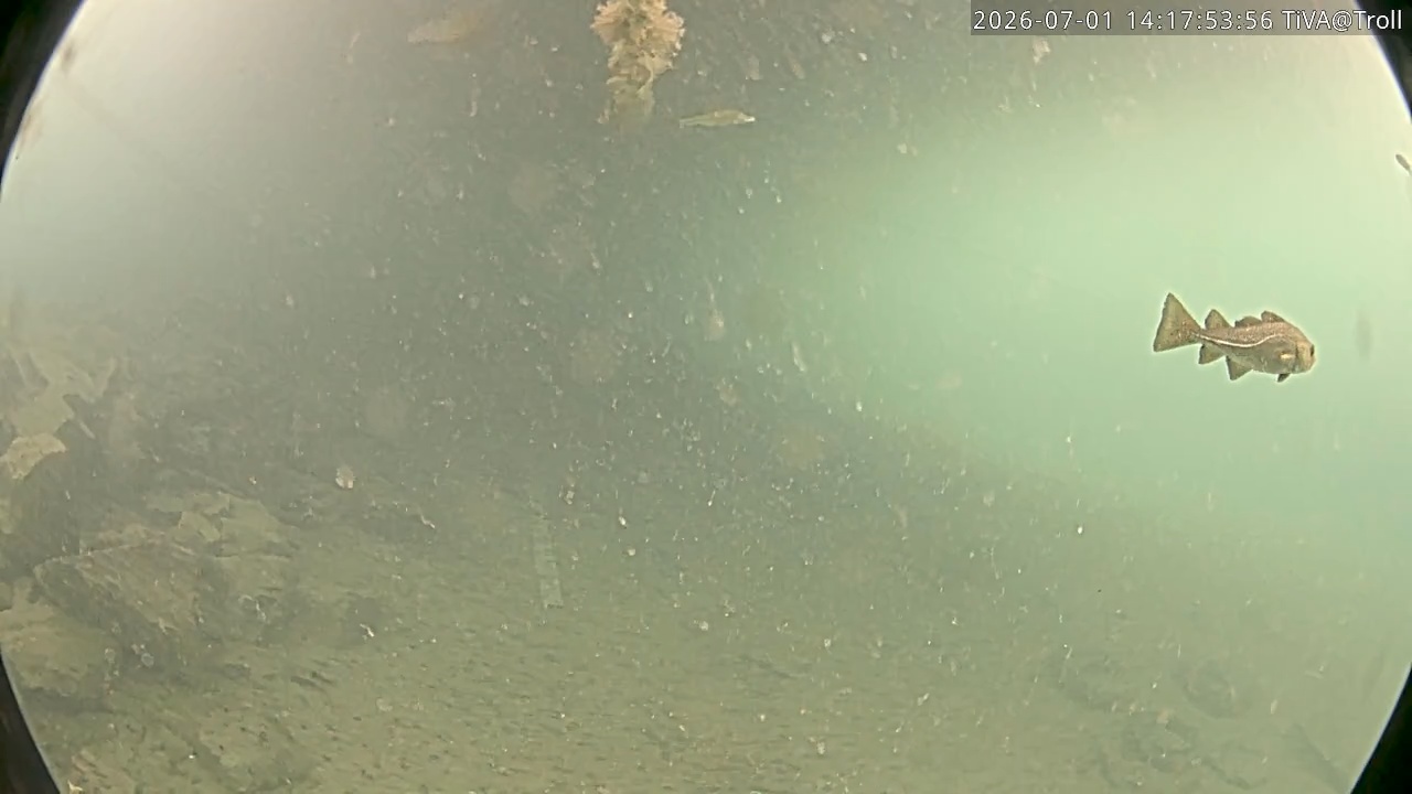Video 2026-07-01 14:18