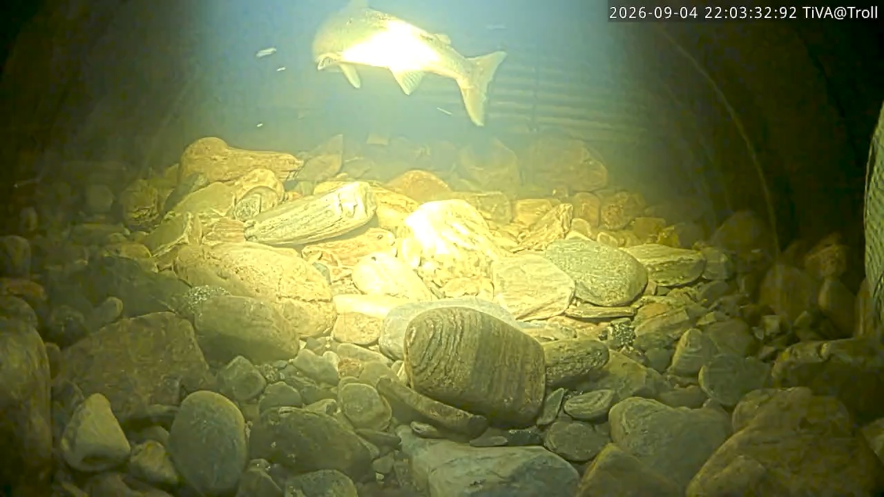 Video 2026-09-04 22:03