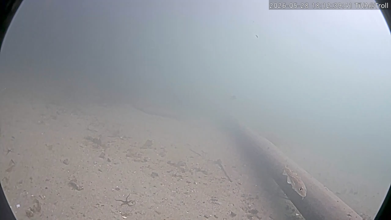 Video 2026-05-28 18:12