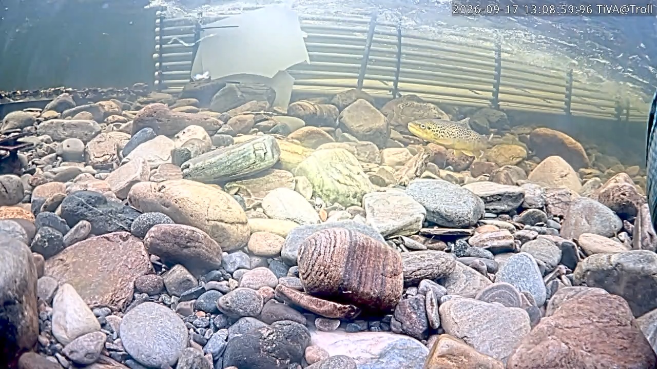 Video 2026-09-17 13:09
