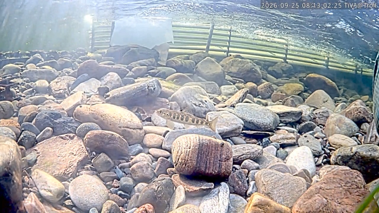 Video 2026-09-25 08:13