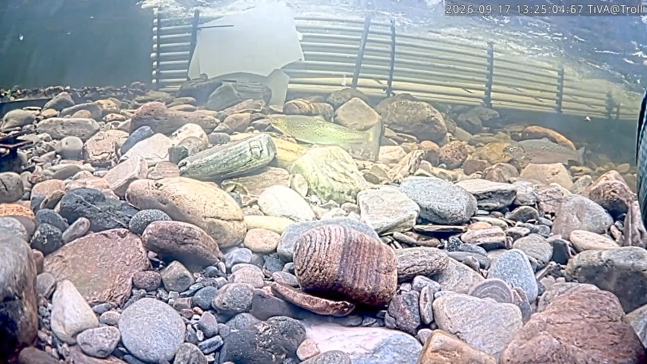 Video 2026-09-17 13:25