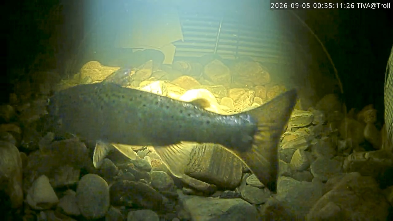 Video 2026-09-05 00:35
