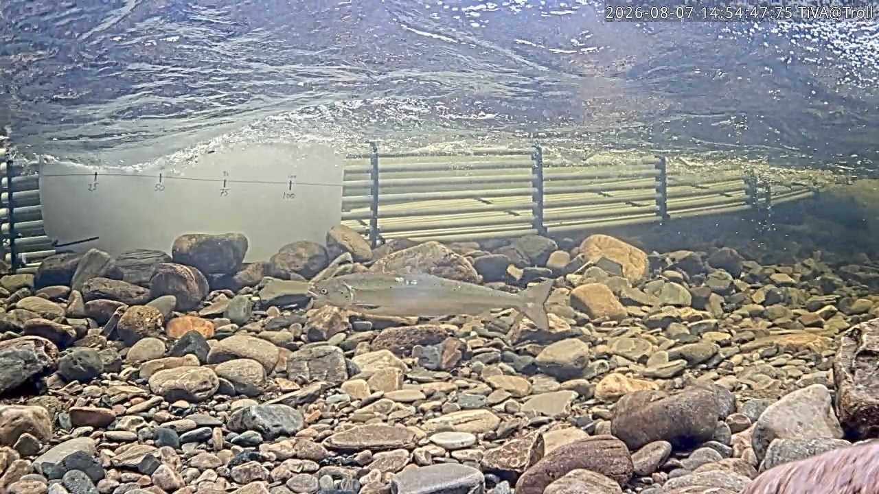 Video 2026-08-07 14:54