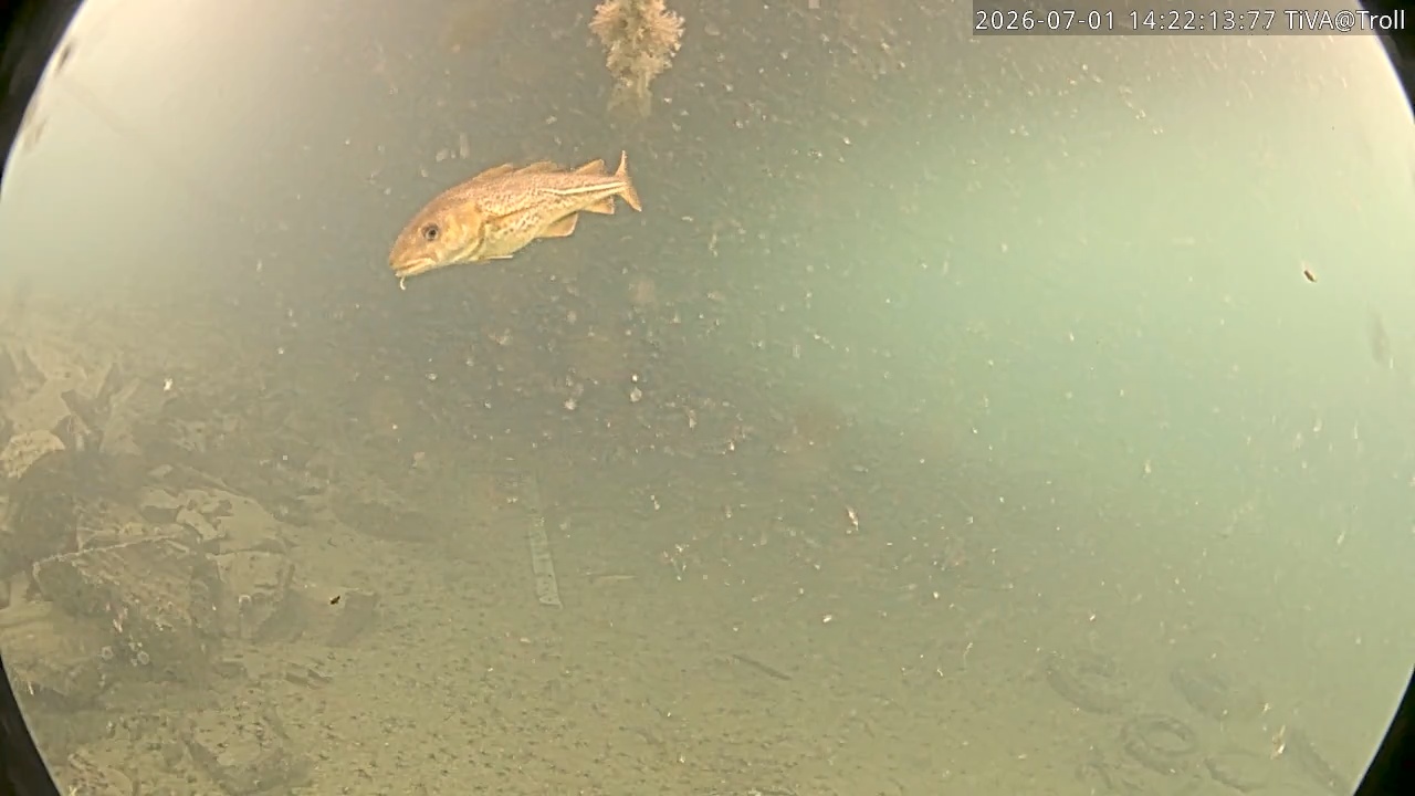 Video 2026-07-01 14:22