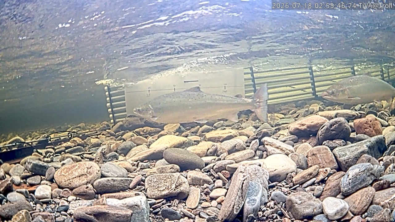 Video 2026-07-18 02:55