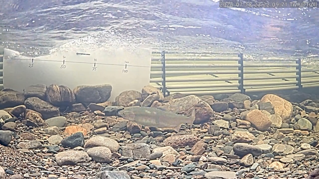 Video 2026-07-18 23:22