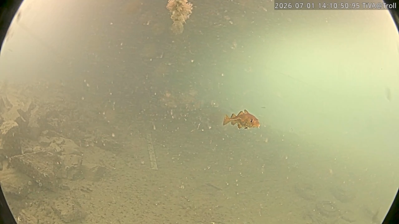 Video 2026-07-01 14:11