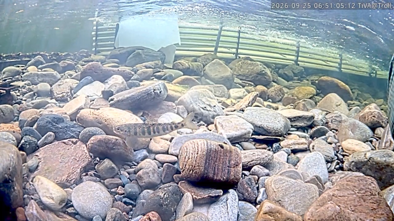 Video 2026-09-25 06:51