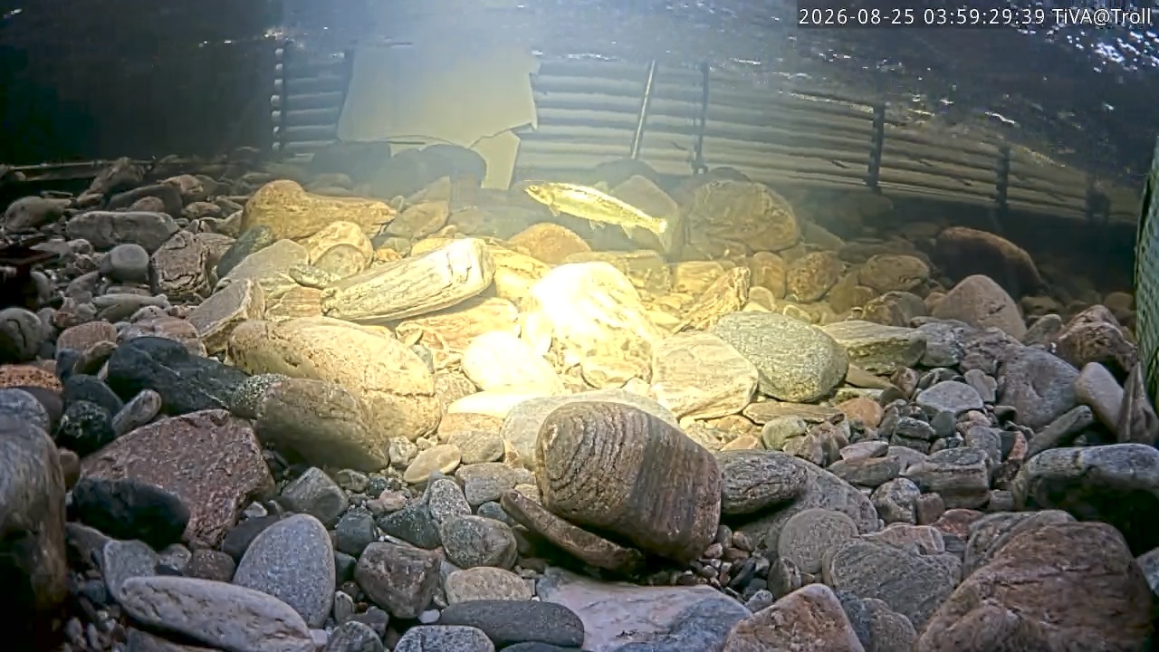Video 2026-08-25 03:59