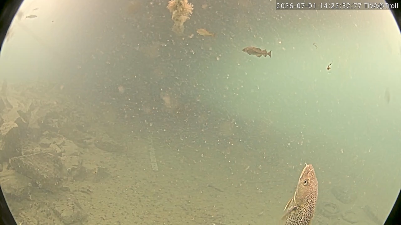 Video 2026-07-01 14:23