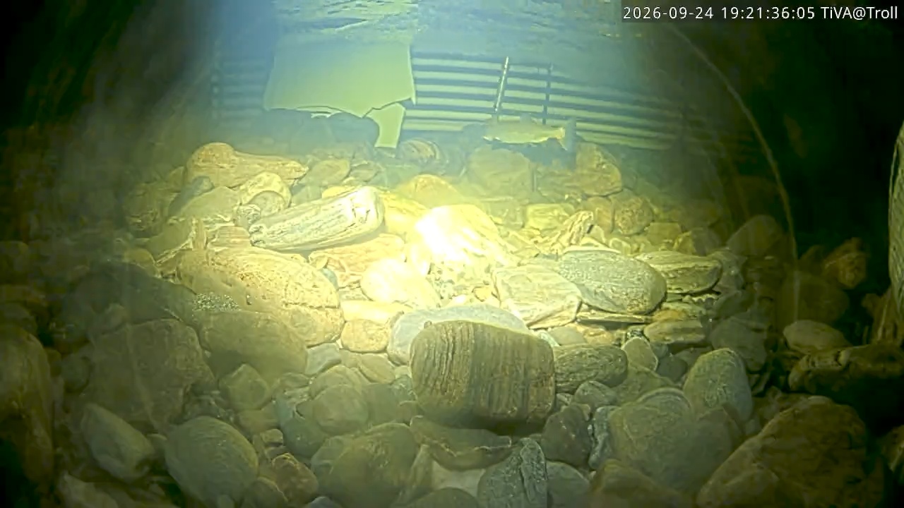 Video 2026-09-24 19:21