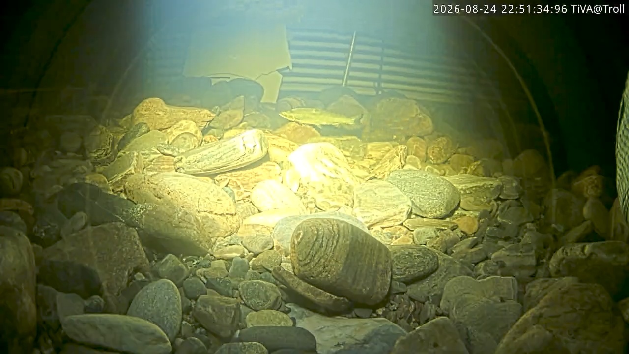Video 2026-08-24 22:51