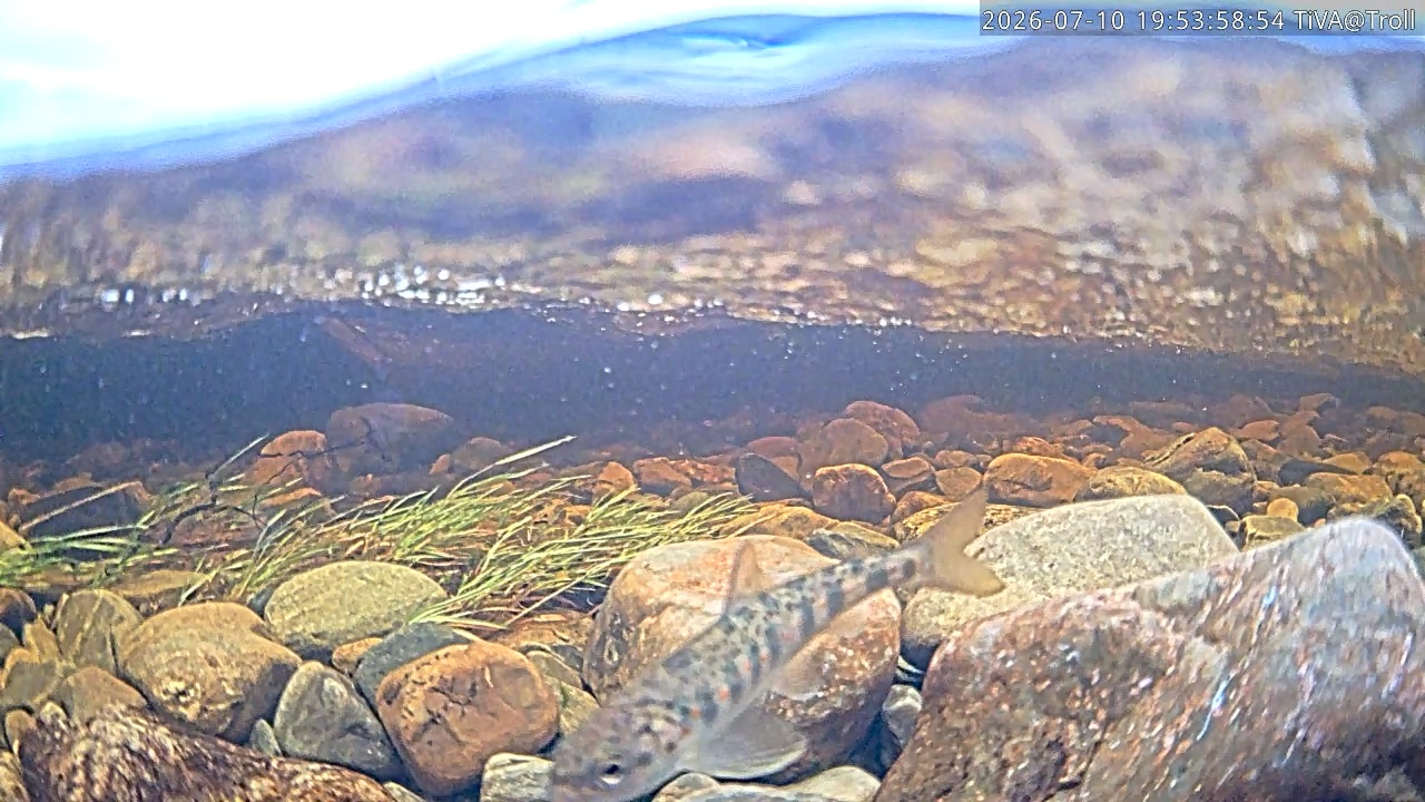 Video 2026-07-10 19:54