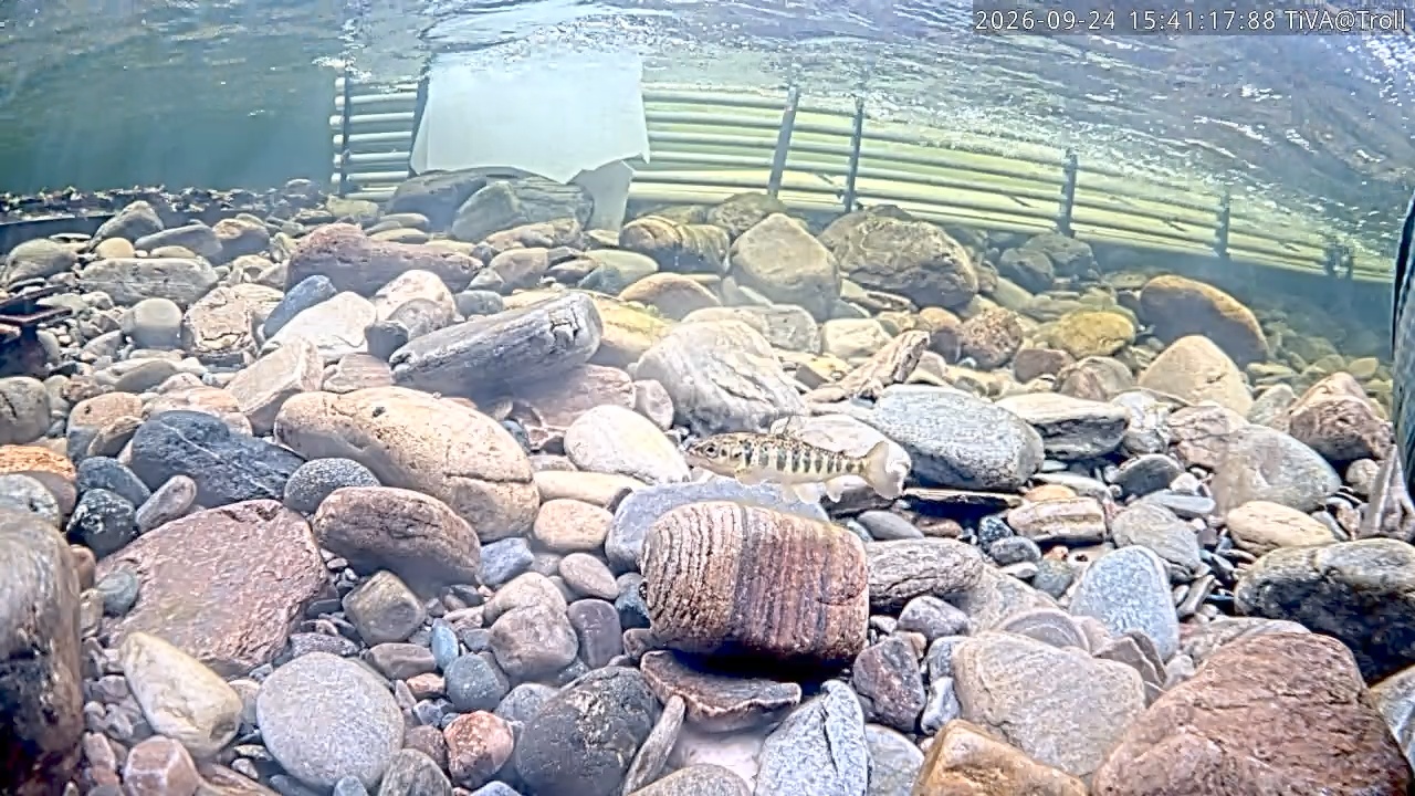 Video 2026-09-24 15:41