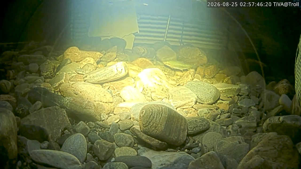 Video 2026-08-25 02:57