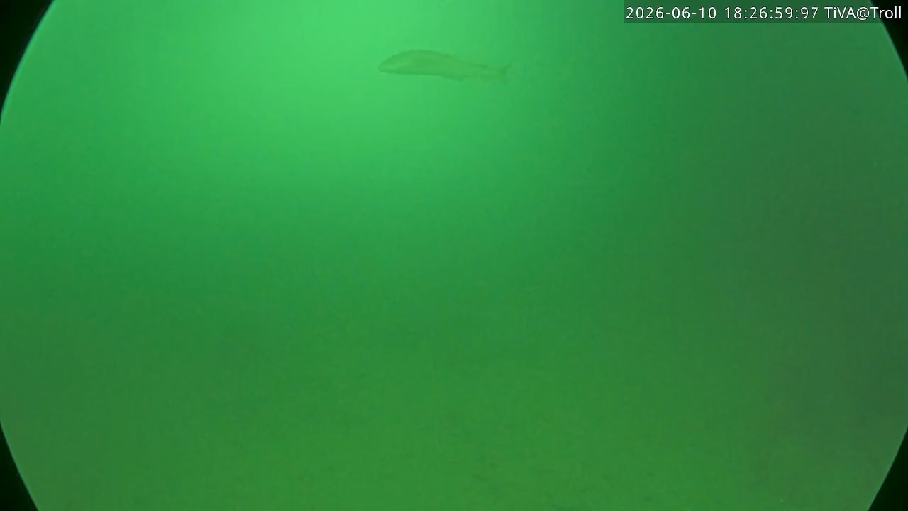 Video 2026-06-10 18:27