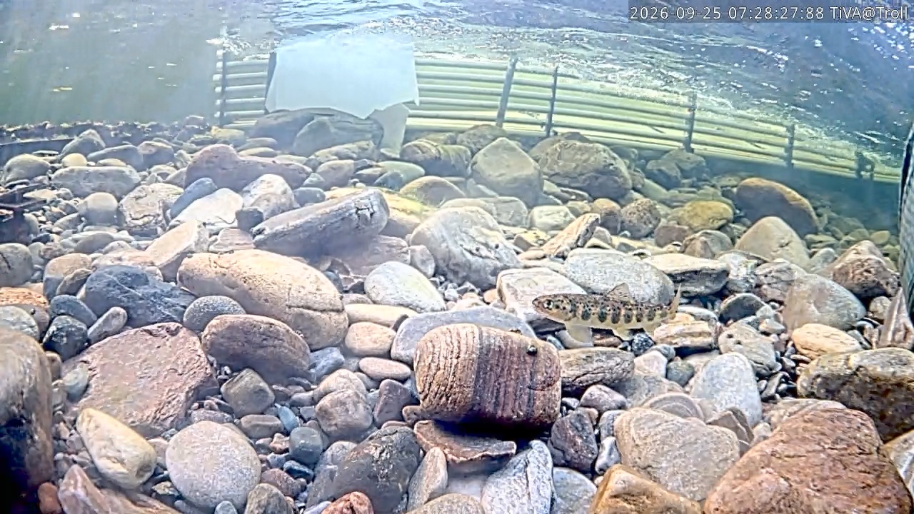 Video 2026-09-25 07:28