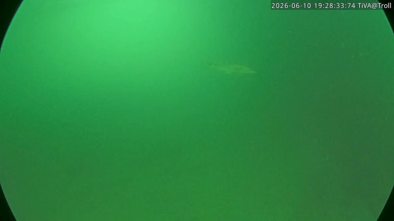 Video 2026-06-10 19:28
