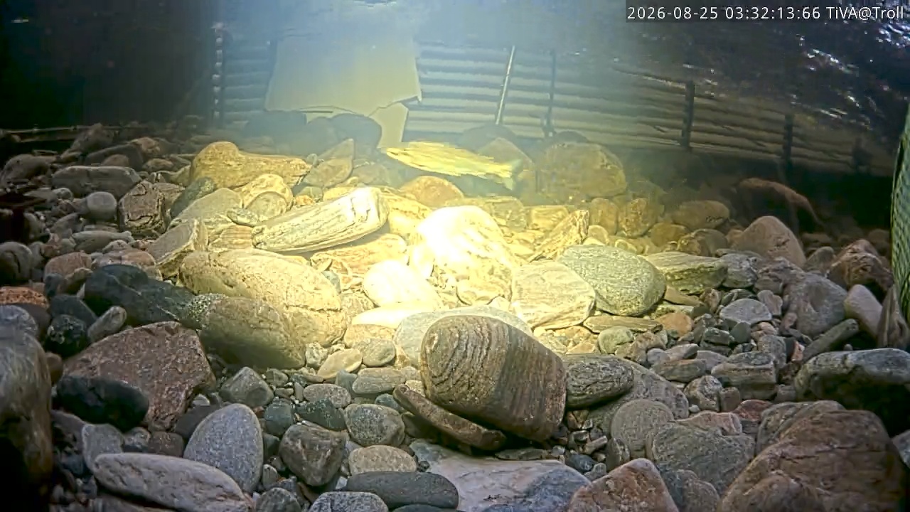 Video 2026-08-25 03:32