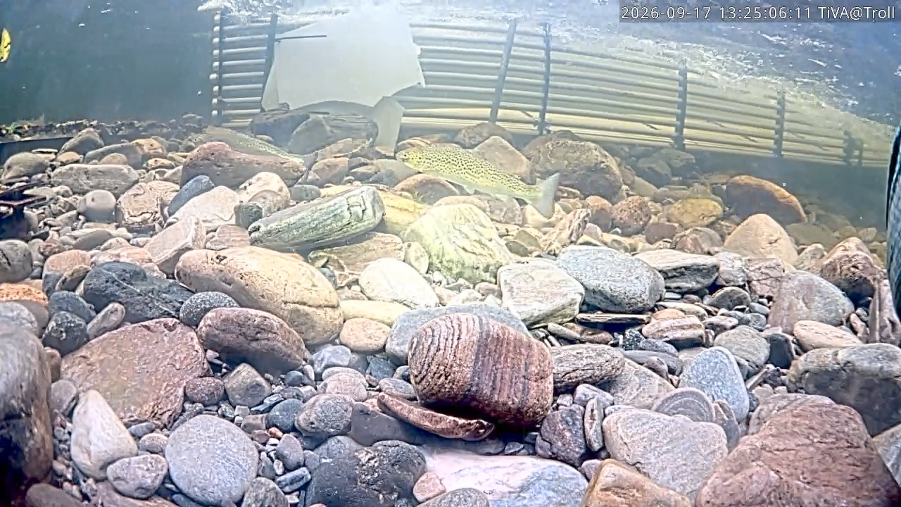 Video 2026-09-17 13:25