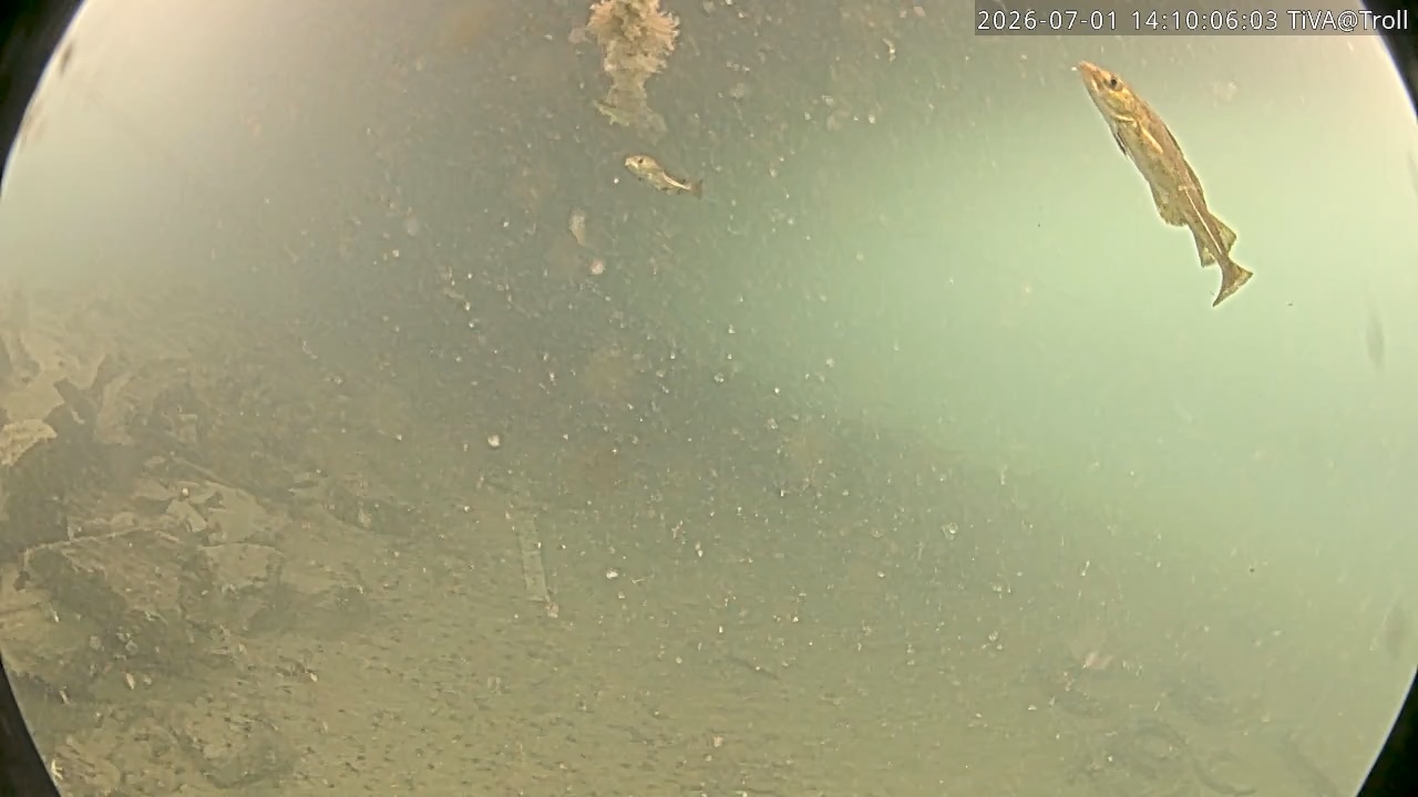 Video 2026-07-01 14:10