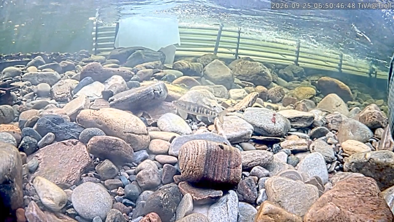 Video 2026-09-25 06:50
