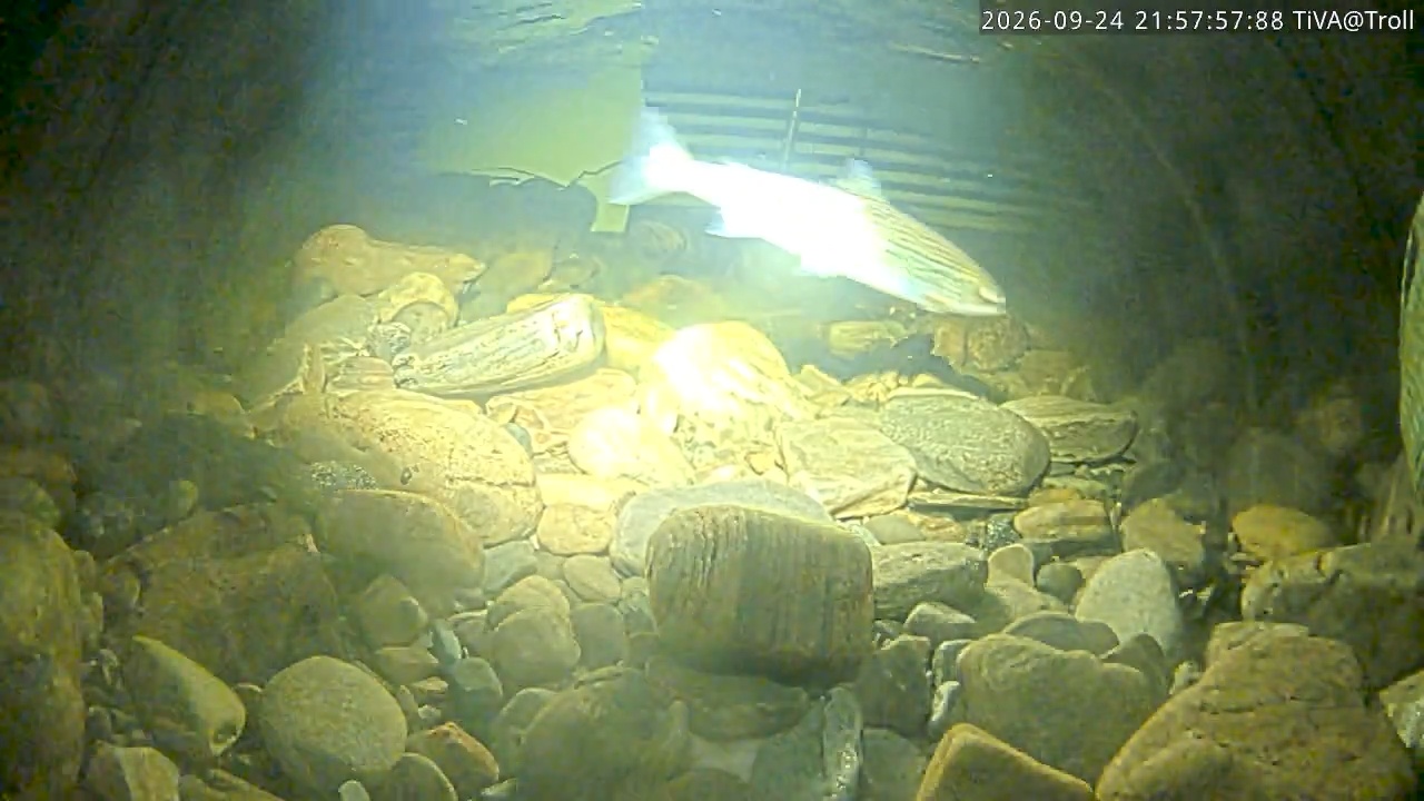 Video 2026-09-24 21:58