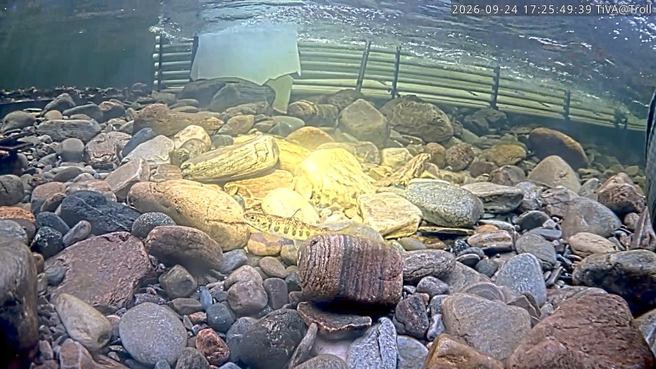 Video 2026-09-24 17:25
