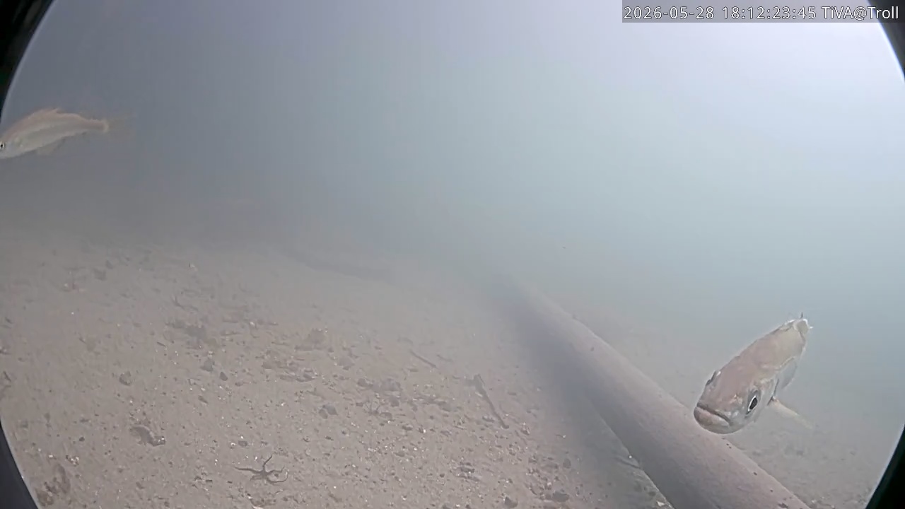 Video 2026-05-28 18:12