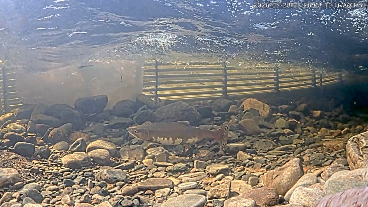 Video 2026-07-28 07:26