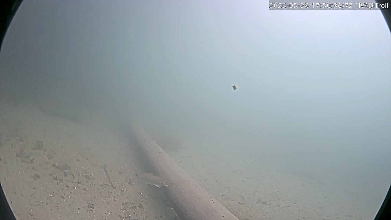 Video 2026-05-28 17:50